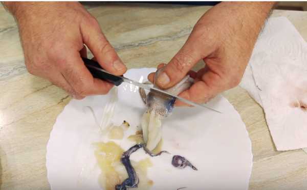 Как чистить кальмары от пленки правильно и быстро: все способы