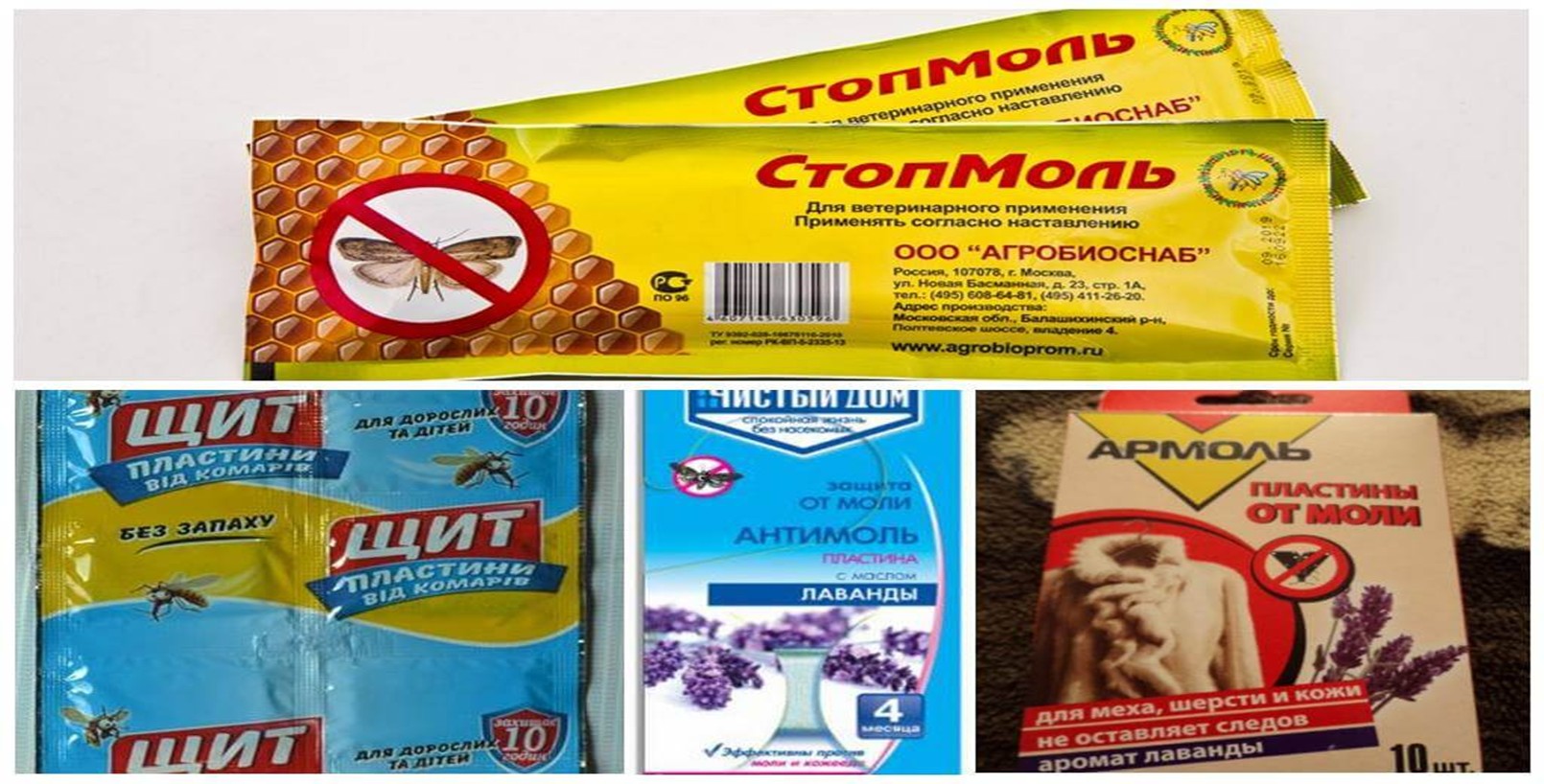 Как и чем вывести моль в квартире и доме