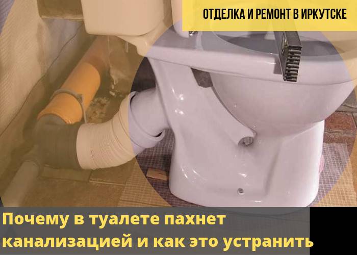 Почему пахнет канализацией в частном доме, что делать: определим и устраним самостоятельно