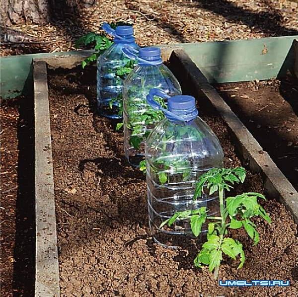 Как сделать полив из пластиковой бутылки :: инфониак