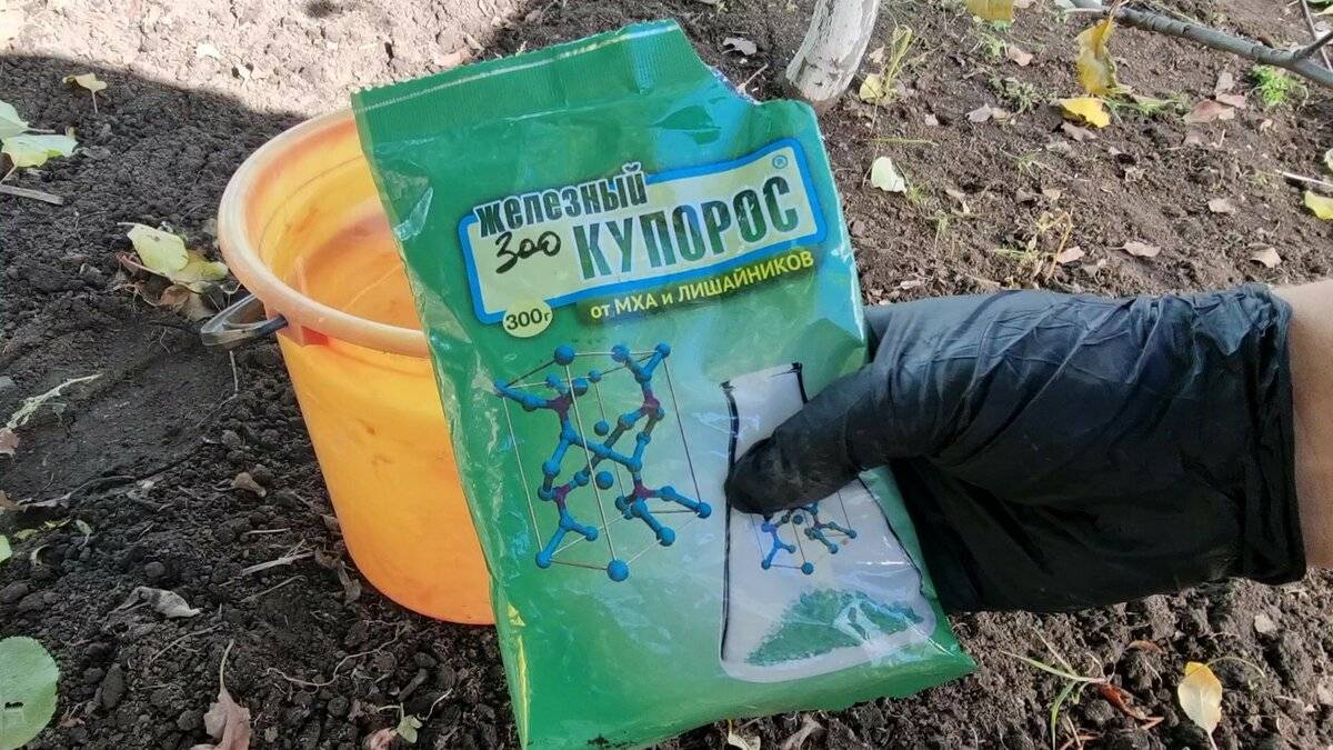 Обработка теплицы из поликарбоната медным купоросом осенью. как обработать теплицы медным купоросом весной