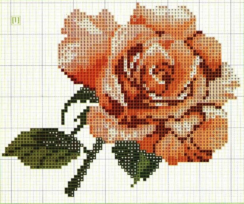 Вышивка розы. схемы вышивки роз крестиком. нашивки и вышивка картин с розами