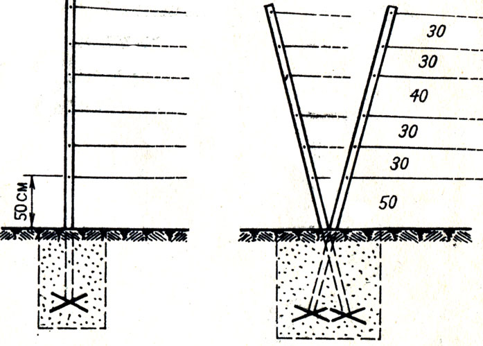 Схема опоры для винограда и размеры фото