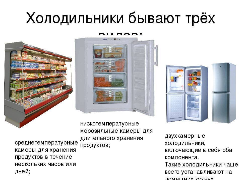 Холодильники бывают. Среднетемпературные камеры для хранения продуктов. Что бывает в холодильнике. Холодильник для длительного хранения. Холодильник для презентации.