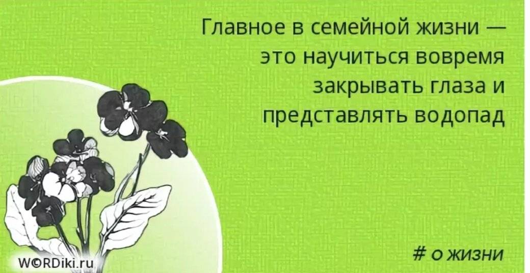 Почему планы всегда рушатся