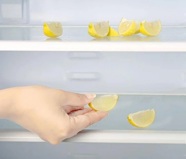 Неприятный запах в холодильнике как избавиться. Лимон в холодильнике. Избавиться от запаха в холодильнике. Освежитель для холодильника. Запах из холодильника.