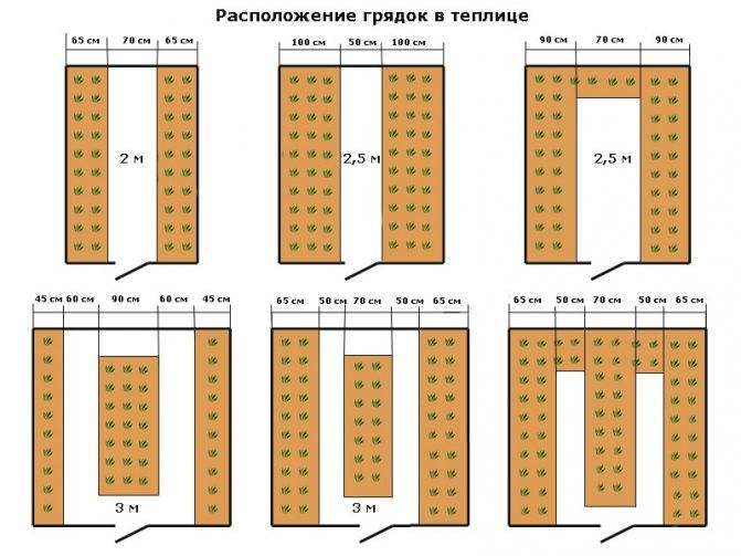 Размеры теплицы из поликарбоната чертеж 3х6 [47 фото], как сделать проект-схему теплицы своими руками, размеры парника 3 на 6 метров