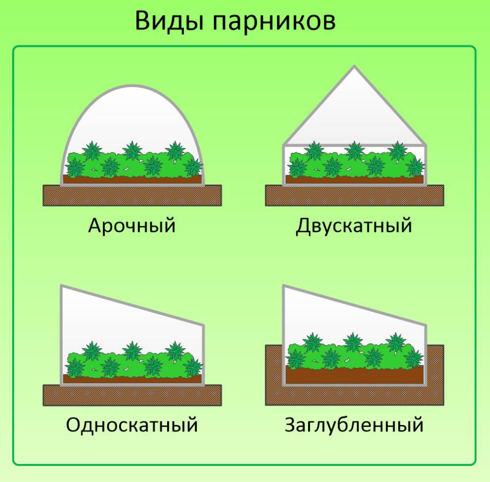 Парник презентация