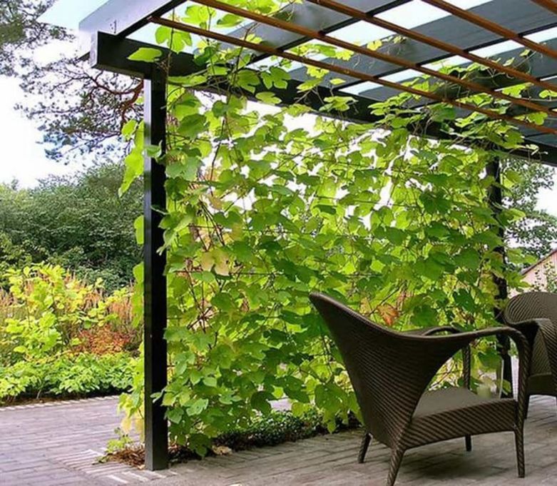 11 оригинальных опор для растений на даче, которые отлично поддерживают растения и украшают участок