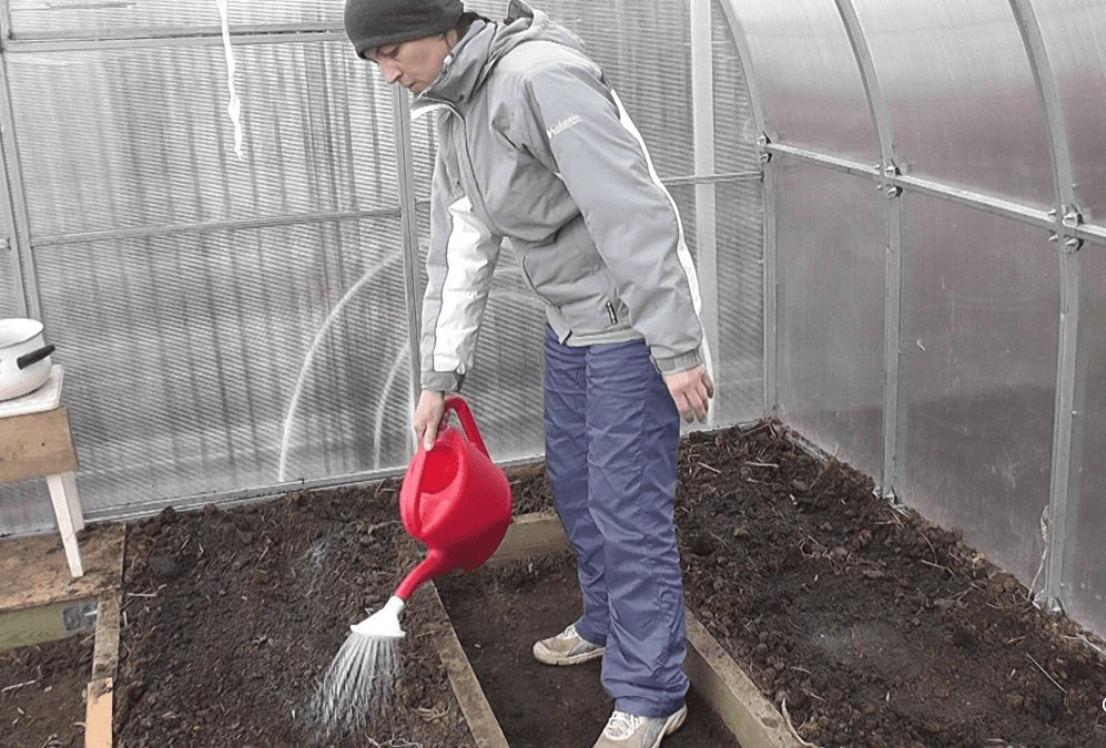 Подготовка теплиц и парников весной, как обеззаразить почву в теплице.