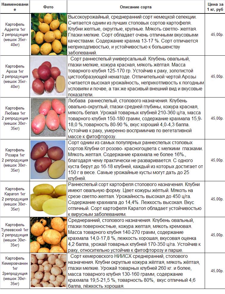 Названия картофеля с фотографиями