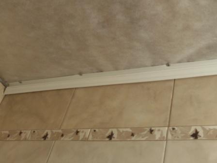 Пластиковые панели на потолке кухни – выбор и установка (фото, видео)