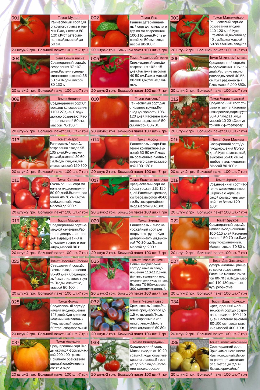 Таблица сортов помидоров