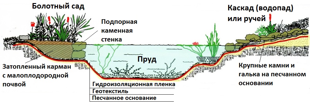 Разрез пруда чертеж