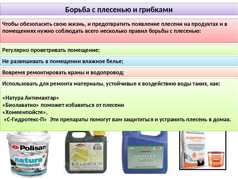 Как избавиться от плесени и грибка на стенах в квартире или доме