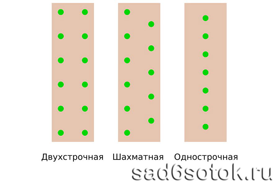 Схема посадки огурцов кураж в теплице