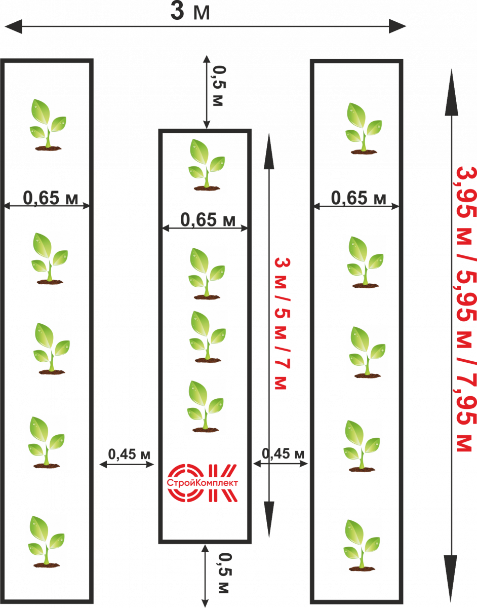 Теплица 6 на 3 расположение грядок схема