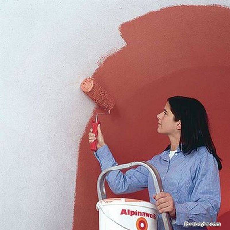 Покраска потолка из гипсокартона – выбор краски, правила покраски