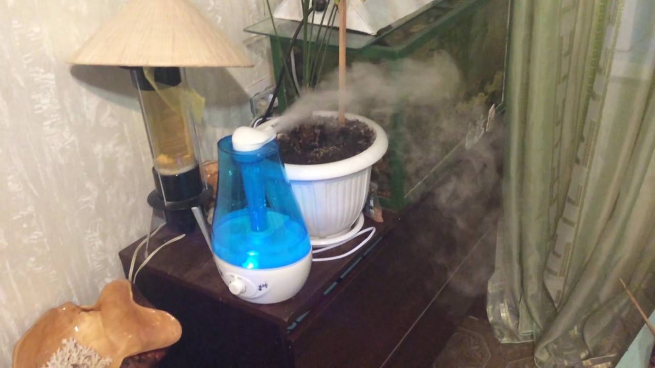 Как освежить воздух в квартире народными средствами от запаха: лучшие способов сделать дом приятно пахнущим