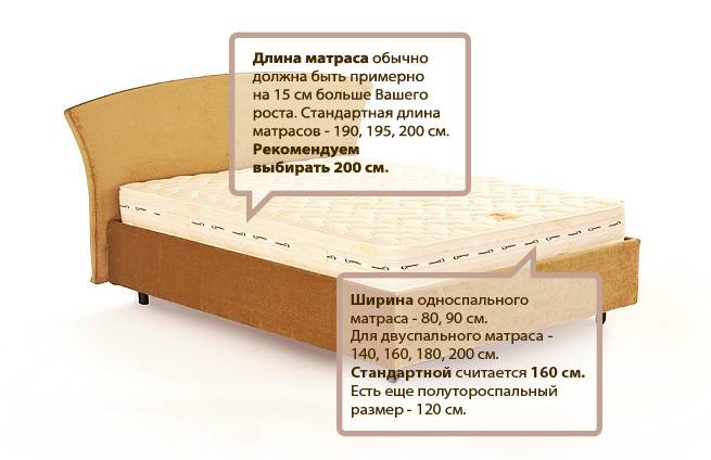 Как выбрать кровать в спальню: виды, особенности, фото в интерьре