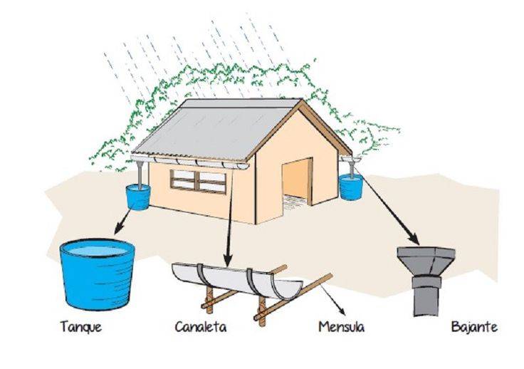 Сбор дождевой воды для полива: 3 критерия выбора